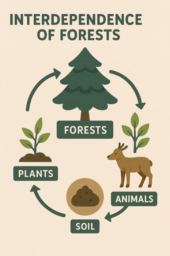 How Trees Communicate