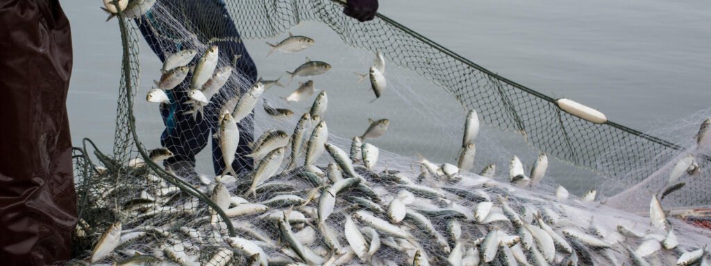 Mystery of the Ocean