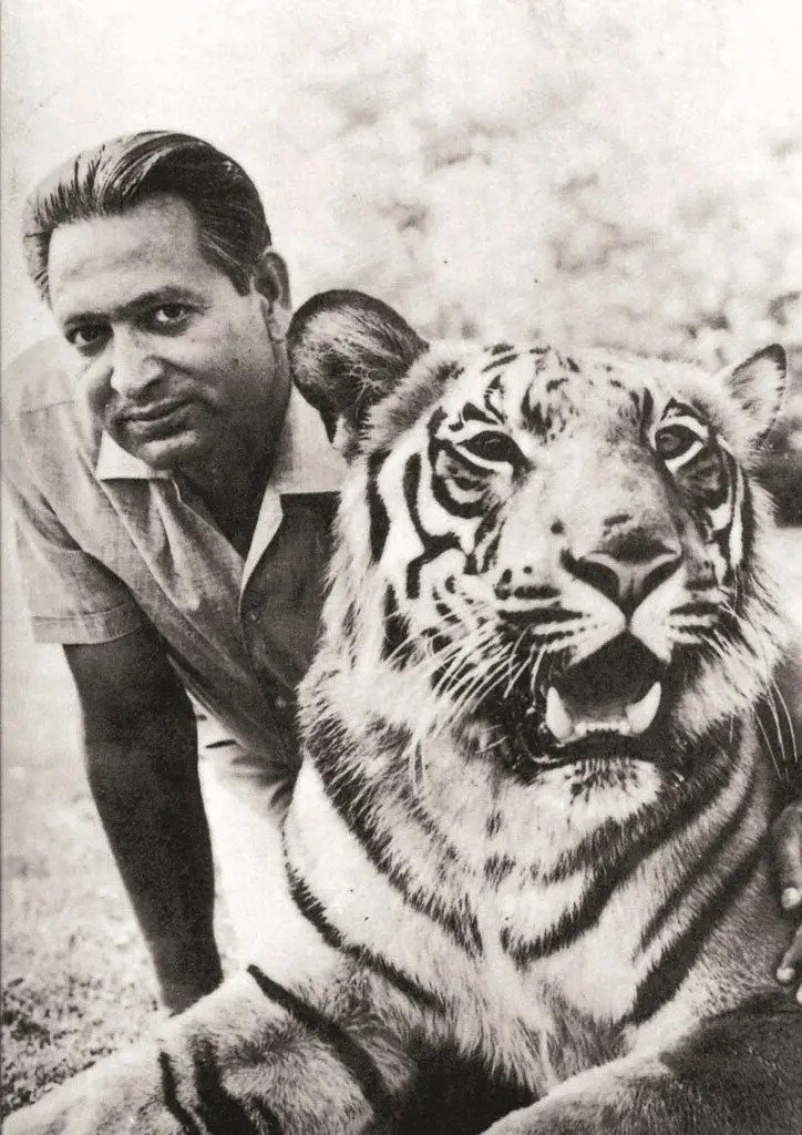 Saving Tigers: The Next Challenge